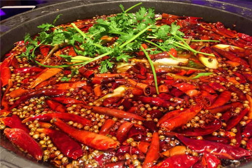 龙里火锅加盟 传统火锅与现代焖锅的双重优势